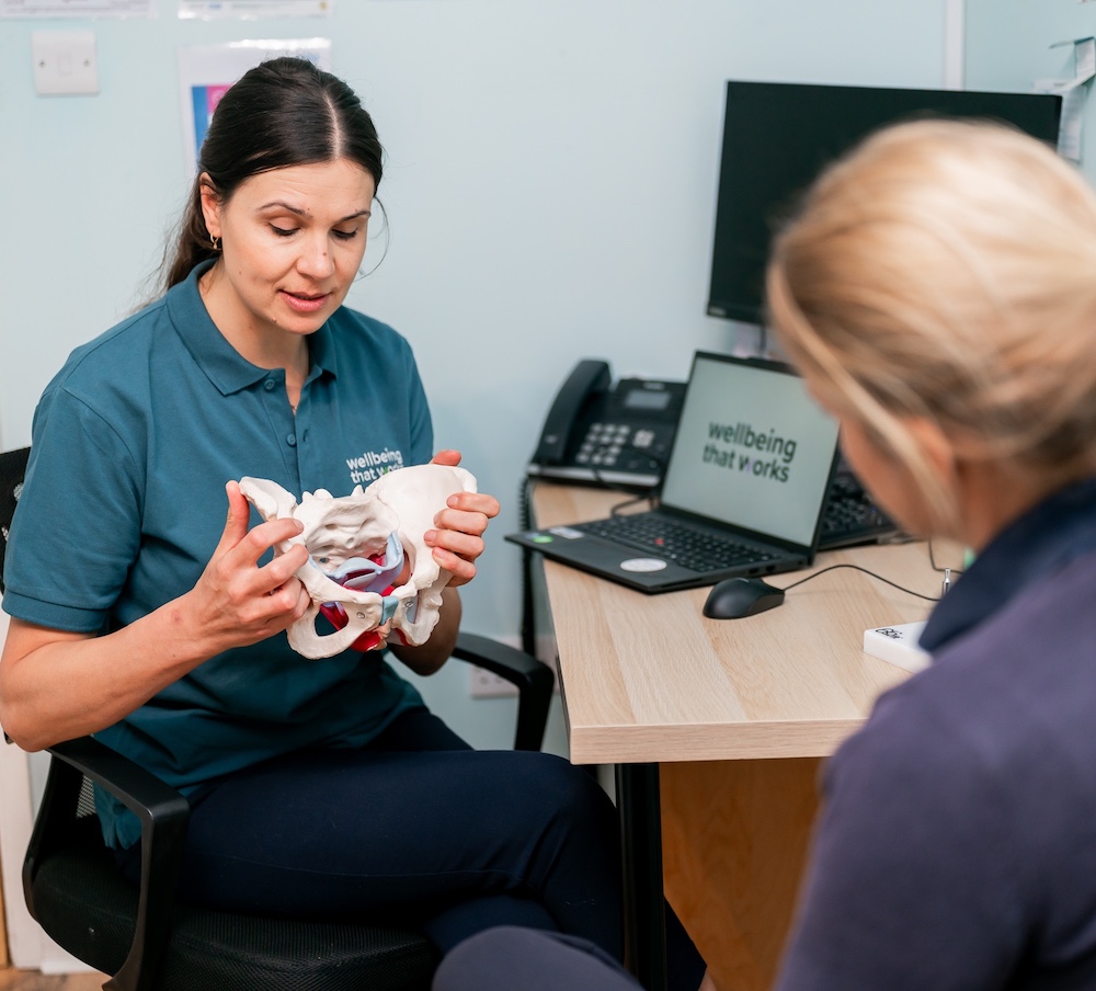 Physiotherapist holding a pelvic bone